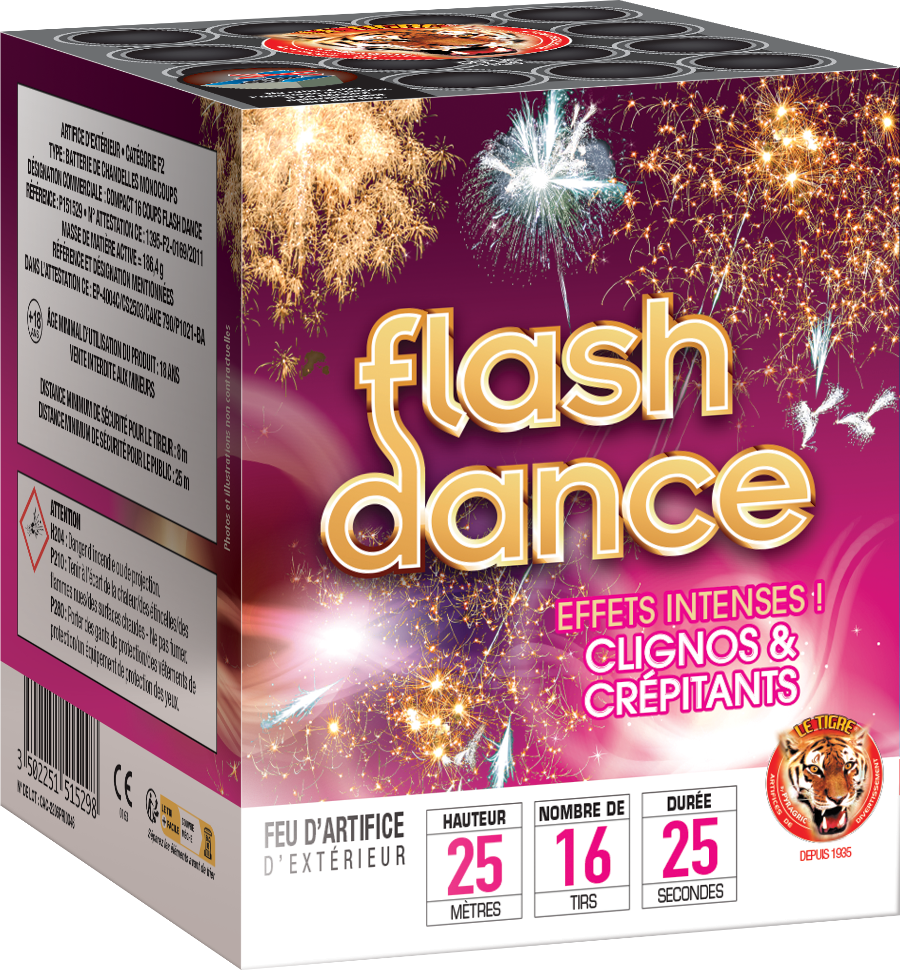 P151529-FLASH DANCE