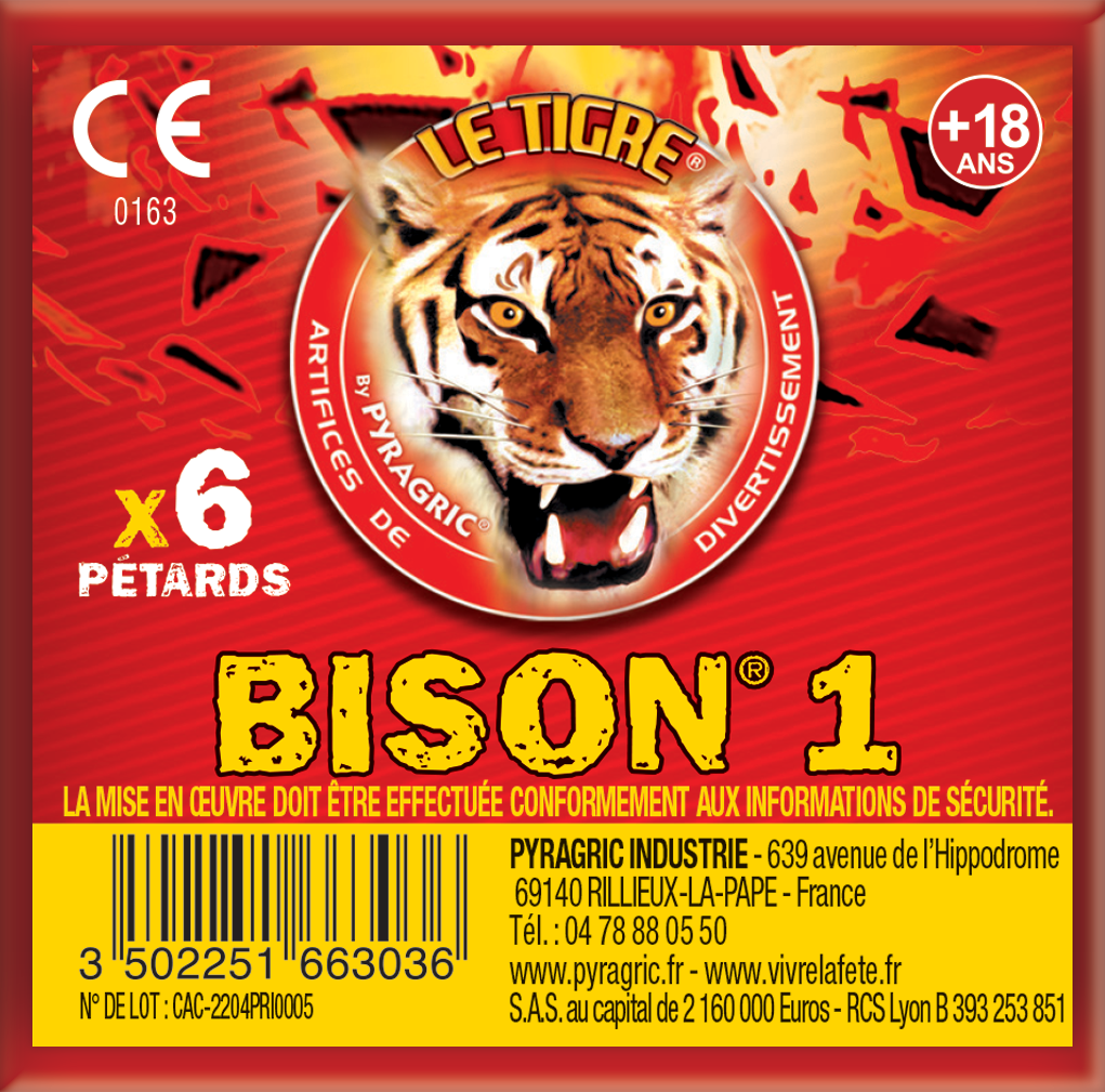 P166303-BISON 1